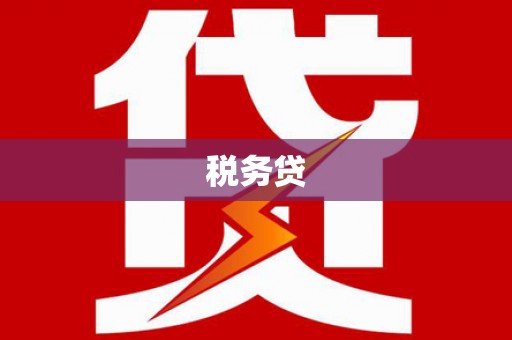 长治税务贷