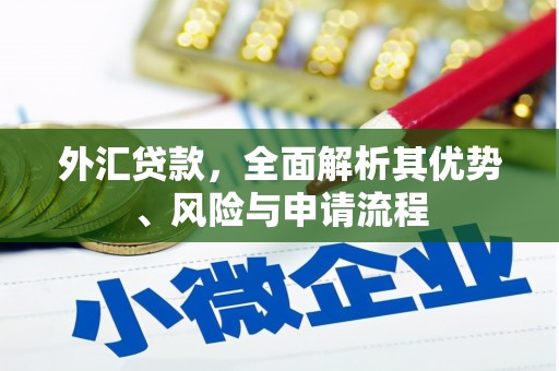 长治外汇贷款，全面解析其优势、风险与申请流程