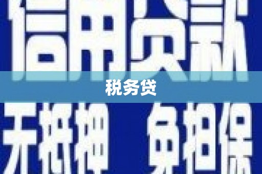 长治税务贷