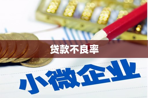 长治贷款不良率