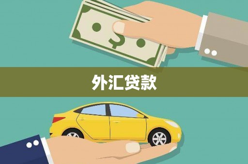 长治外汇贷款