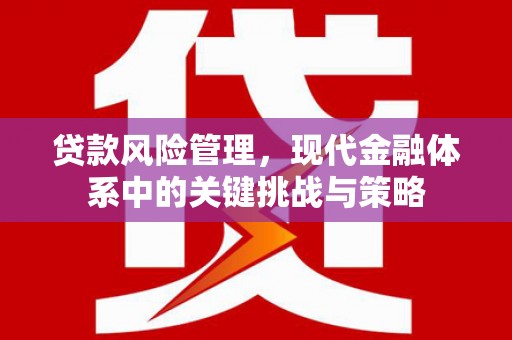 长治贷款风险管理，现代金融体系中的关键挑战与策略