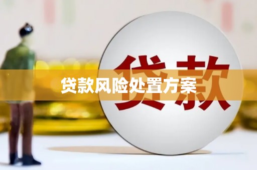 长治贷款风险处置方案
