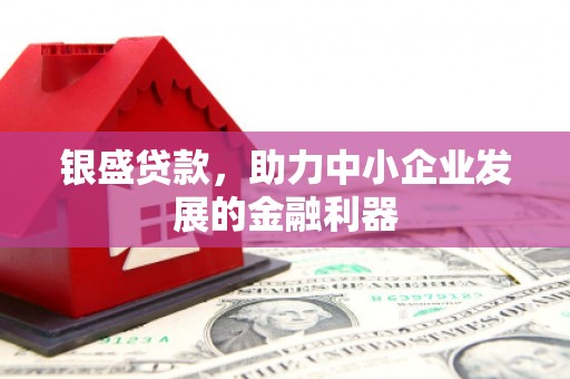 长治银盛贷款，助力中小企业发展的金融利器