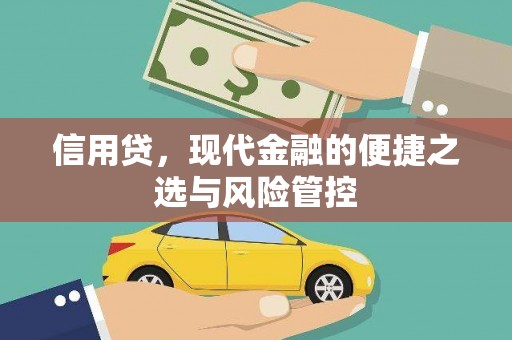 长治信用贷，现代金融的便捷之选与风险管控