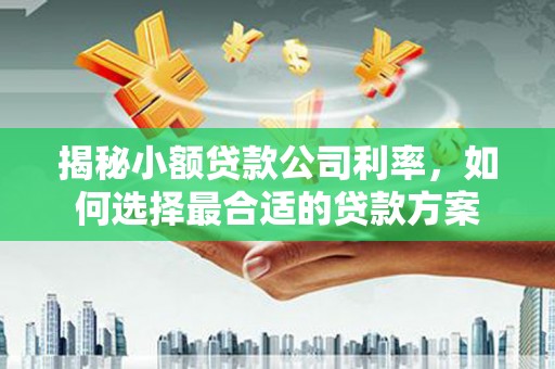 长治揭秘小额贷款公司利率，如何选择最合适的贷款方案