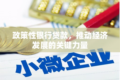 长治政策性银行贷款，推动经济发展的关键力量