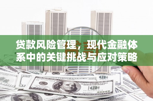 长治贷款风险管理，现代金融体系中的关键挑战与应对策略