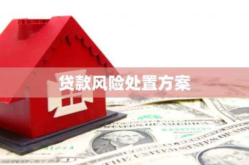 长治贷款风险处置方案